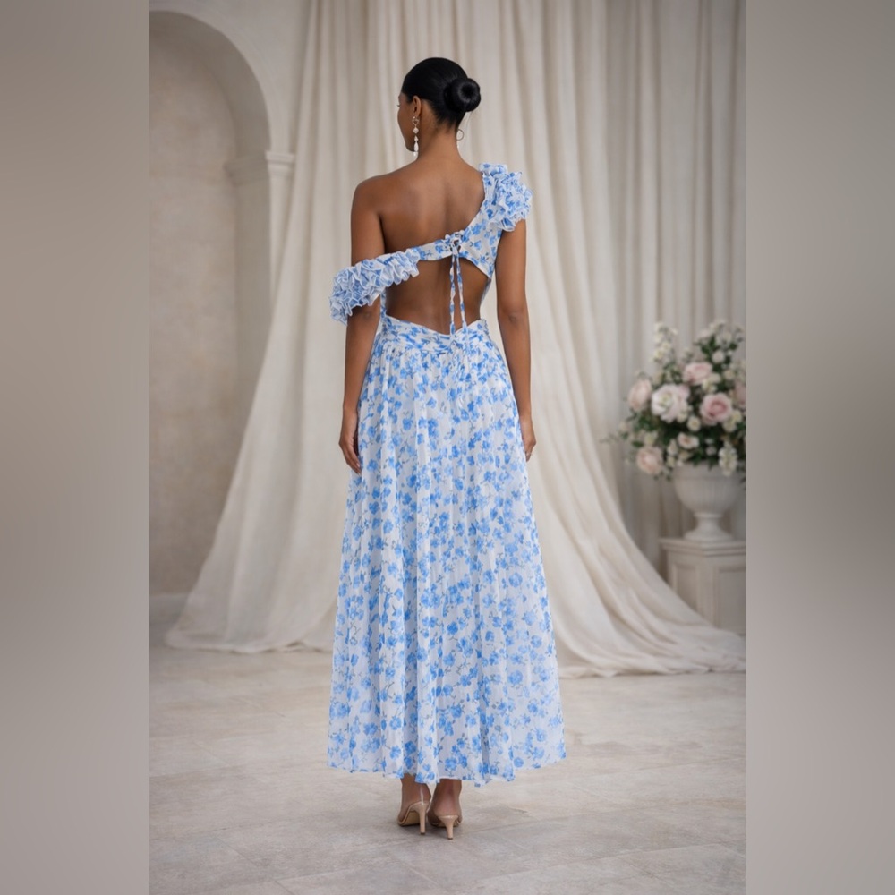 Blue and White Ruffled Maxi Dress V-Neck Sleeveless - Picture 2 of 2